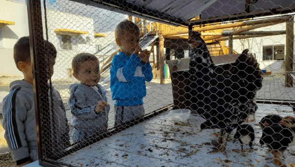 As crianças são pequenos cientistas